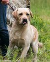 20140713-jhl-0343