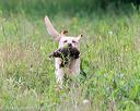 20140713-jhl-0356