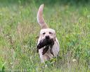 20140713-jhl-0359
