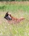 20140713-jhl-0412