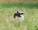 20140713-jhl-0432