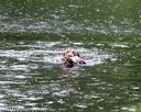 20140713-shw-0028