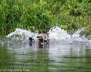 20140713-shw-0068