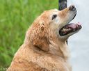 20140713-shw-0077