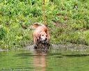 20140713-shw-0094
