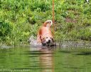 20140713-shw-0096