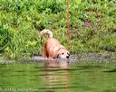 20140713-shw-0097