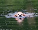 20140713-shw-0100