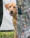 20140713-shw-0108
