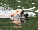 20140713-shw-0109
