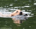 20140713-shw-0110