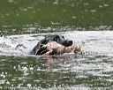 20140713-shw-0120