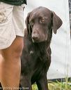 20140713-shw-0137