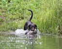 20140713-shw-0162