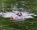 20140713-shw-0166