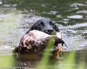 20140713-shw-0186