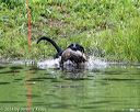 20140713-shw-0199