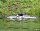 20140713-shw-0201