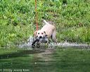 20140713-shw-0216