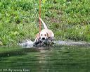 20140713-shw-0217