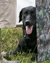 20140713-shw-0253