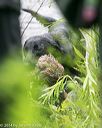 20140713-shw-0276