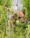 20140713-shw-0306