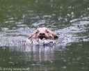 20140713-shw-0309