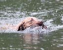 20140713-shw-0311