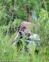 20140713-shw-0330