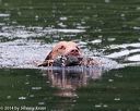 20140713-shw-0335