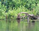20140713-shw-0350