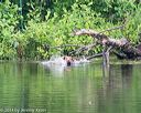 20140713-shw-0351