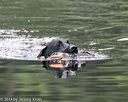 20140713-shw-0371
