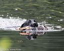 20140713-shw-0374