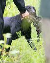 20140713-shw-0405