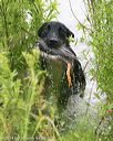 20140713-shw-0412