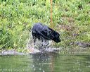 20140713-shw-0425