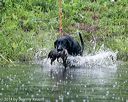 20140713-shw-0465