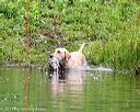 20140713-shw-0524