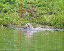 20140713-shw-0526