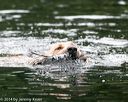 20140713-shw-0537