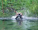 20140713-shw-0545