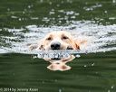 20140713-shw-0552