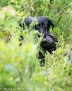 20140713-shw-0571