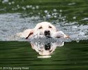 20140713-shw-0579