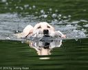 20140713-shw-0580