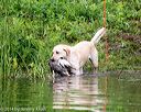 20140713-shw-0593