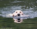 20140713-shw-0607