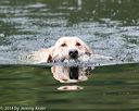20140713-shw-0608